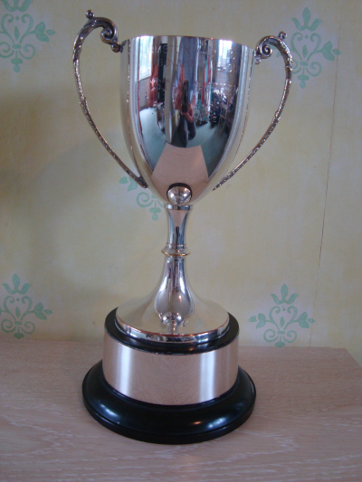 2nd Division Bowler of the Year cup