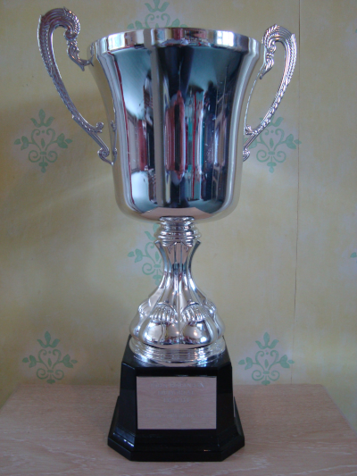 John Robinson Memorial cup